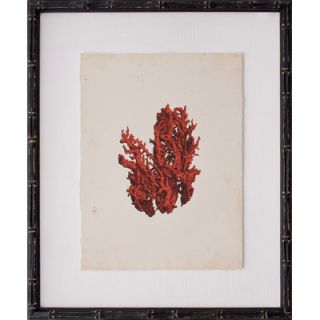 Mini Red Coral V Framed Graphic Art by Mirror Image Home