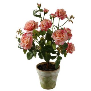 Winward Designs Potted Garden Rose