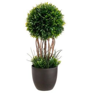 Tori Home Tea Leaf Round Tapered Topiary in Pot