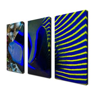 Underwater Blues by Christopher Doherty 3 Piece Photographic Printt