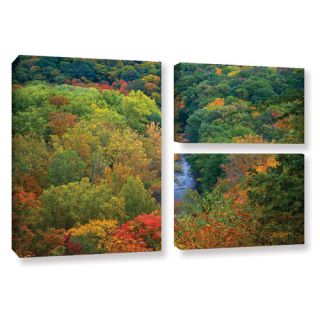 Autumn Stream by David Kyle 3 Piece Gallery Wrapped Canvas Flag Set