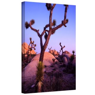 Joshua Tree Twilight by Dean Uhlinger Photographic Print Gallery