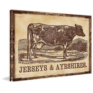 Cows Jerseys Painting Print on Wrapped Canvas by Marmont Hill