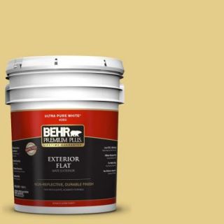 BEHR Premium Plus 5 gal. #T12 6 Lol Yellow Flat Exterior Paint 440005