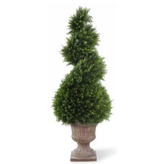 National Tree Co. Juniper Spiral Topiary in Urn