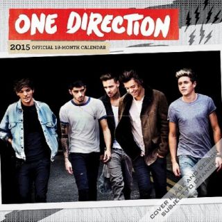 One Direction Official 18 Month 2015 Calendar