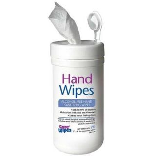 Hand Sanitizing Wipes, Care Wipes, 2XL 470