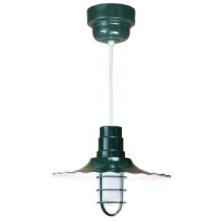 Illumine 1 Light Green Radial Shade Pendant with Wire Guard and Frosted Glass CLI 372