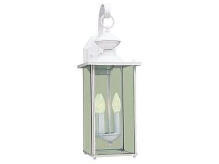 Sea Gull Lighting Two Light Outdoor Fixture in Antique Brushed Nickel   8468 965