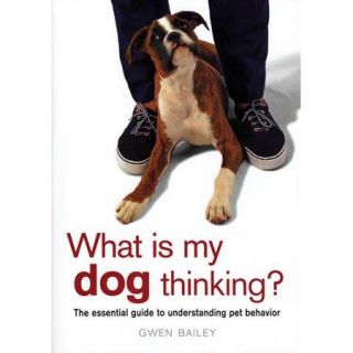What Is My Dog Thinking The Essential Guide to Understanding Pet Behavior