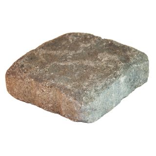 allen + roth Luxora Fredrickson Countryside Patio Stone (Common 6 in x 6 in; Actual 5.8 in H x 5.8 in L)