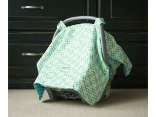 Mothers Lounge DS SHay CC Hayden Carseat Canopy