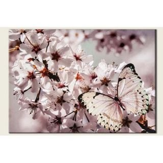 Graham & Brown Butterfly Branch with Glitter Photographic Print on Canvas