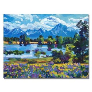 Trademark Fine Art 35 in. x 47 in. Wildflower Valley Canvas Art DLG0243 C3547GG