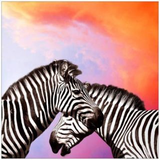 Two Zebras Against a Pink Cloudy Sky Photography by Eazl