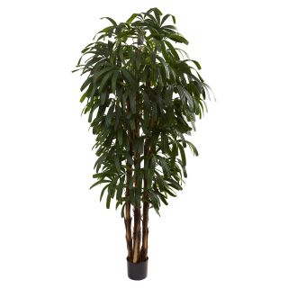 Nearly Natural 6 ft. Raphis Silk Palm Tree   Silk Trees and Palms