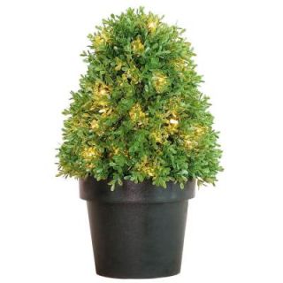 National Tree Company 18 in. Boxwood Tree with Dark Green Growers Pot with 35 Clear Lights LBX4 300 15 1