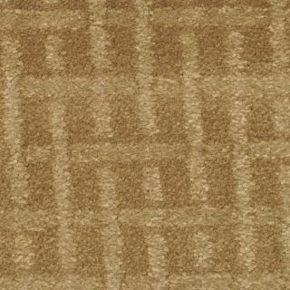 STAINMASTER TruSoft Chateau Avalon Island Reef Cut and Loop Indoor Carpet