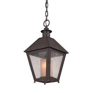 Sagamore 1 Light Outdoor Hanging Lantern by Troy Lighting
