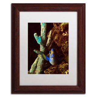 Kurt Shaffer Fish in the Rocks White Matte, Wood Framed Wall Art