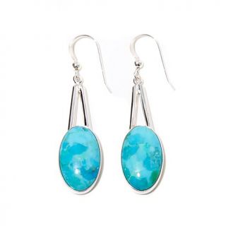 Jay King Iron Mountain Turquoise Sterling Silver Oval Drop Earrings   7873750