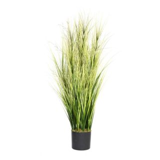 Laura Ashley 60 inch Onion Grass with Twigs   15725394  