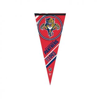 NHL Team Logo 17" x 40" Premium Pennant   Florida Panthers   7800143