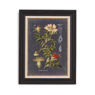 Midnight Botanical I Framed Painting Print