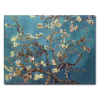 Trademark Fine Art Vincent van Gogh Almond Blossoms Canvas Art