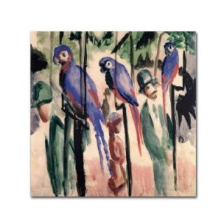 Trademark Fine Art 35 in. x 35 in. Blue Parrots Canvas Art BL01196 C3535GG