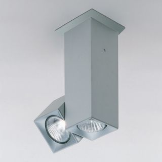 Dau Spot Two Light Flush Mount with Rotating Spot Light