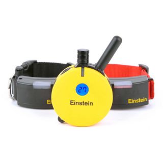 Einstein ET 502 Two Dog Training System for Small to Medium Dogs