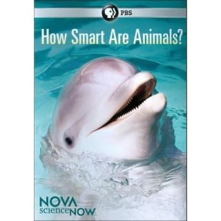 NOVA scienceNOW How Smart Are Animals?