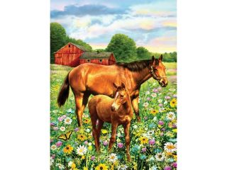 Junior Small Paint By Number Kit 8.75"X11.75" Horse In Field