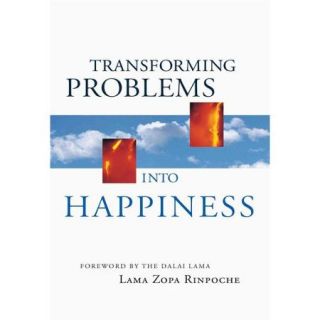 Transforming Problems into Happiness