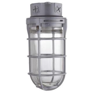 Lithonia Lighting 150W Incandescent Utility Vapor Tight Ceiling Mount Fixture VC150I M12