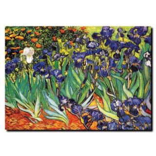 Trademark Fine Art 35 in. x 47 in. Irises at Saint Remy Canvas Art M229 C3547GG