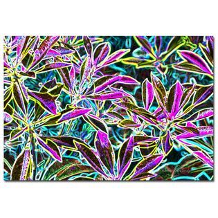 Trademark Fine Art Kathie McCurdy Tropical Neon 22 x 32 Canvas Art