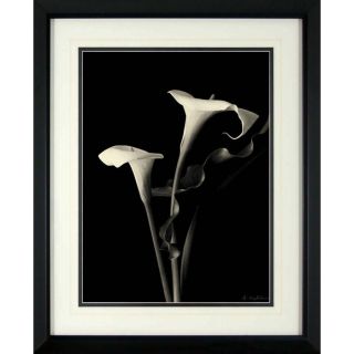 18 in W x 22 in H Photography Framed Art