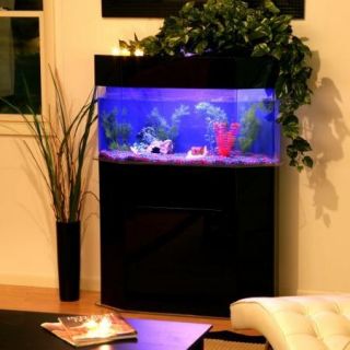 Acrylic Pentagon Aquarium Stand