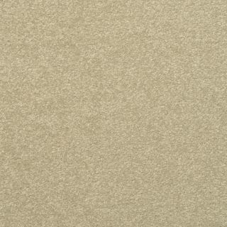 STAINMASTER Active Family Influential Spanish Olive Textured Indoor Carpet