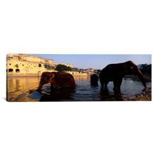 Panoramic Three Elephants in the River, Amber Fort, Jaipur, Rajasthan