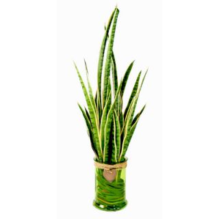 Snake Plant and Cattail Leaf Pot by Creative Displays, Inc.