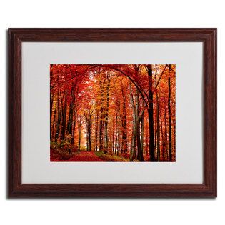 Trademark Fine Art  Philippe Sainte Laudy The Red Way Framed Matted