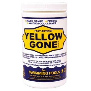 Yellow Gone 2 lb. Fast Acting Pool Cleanup for Green and Mustard Algae 23502PTM