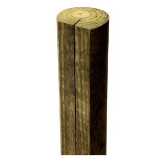 Pressure Treated Wood Pine Fence Post (Actual 4 in x 4 ft)