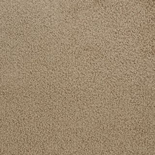 STAINMASTER Active Family Claris Glow Textured Indoor Carpet
