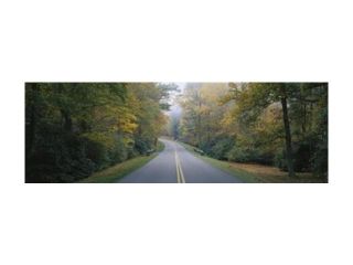 Trees along a road, Blue Ridge Parkway, North Carolina, USA Poster Print by Panoramic Images (27 x 9)