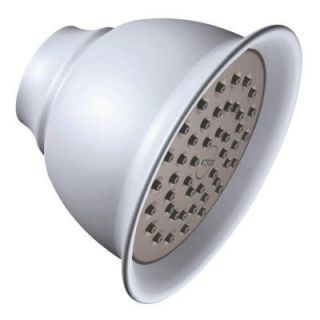 MOEN XL 1 Spray 4 in. Showerhead in Platinum 6302PM