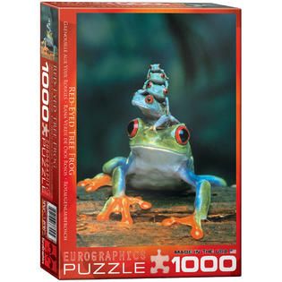 Red Eyed Tree Frog   Toys & Games   Puzzles   Jigsaw Puzzles